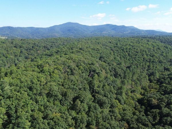 350 Sanford Boggs Dr, Marlinton, WV 24954