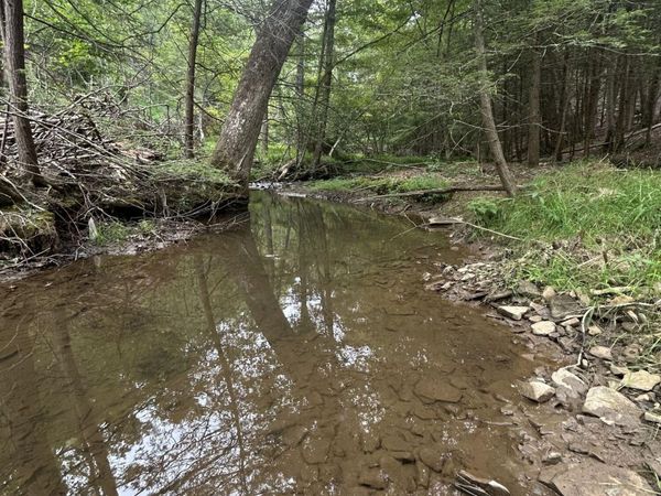 350 Sanford Boggs Dr, Marlinton, WV 24954