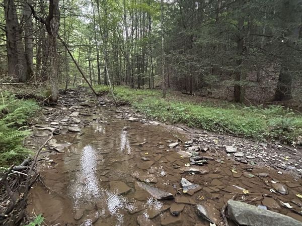 350 Sanford Boggs Dr, Marlinton, WV 24954