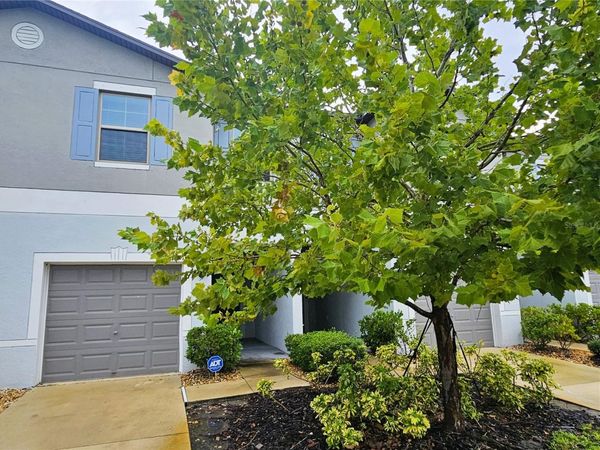 13251 DUPREE HILLS PLACE , RIVERVIEW, FL 33579