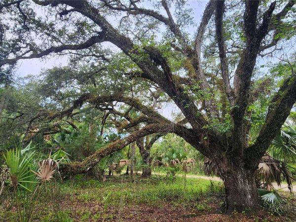 7096 E CHANNEL DRIVE, HERNANDO, FL 34442