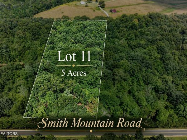 Lot 11 Smith Mountain Rd, Rockwood, TN 37854