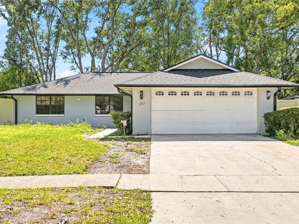 1123 FOGGY RIDGE PARKWAY , LUTZ, FL 33559