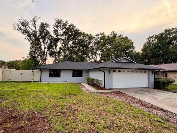 1123 FOGGY RIDGE PARKWAY , LUTZ, FL 33559