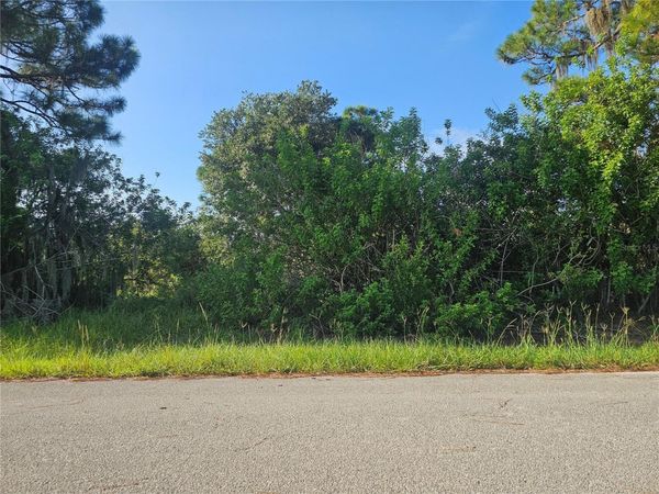 251 SUNBEAM COURT , LAKE PLACID, FL 33852