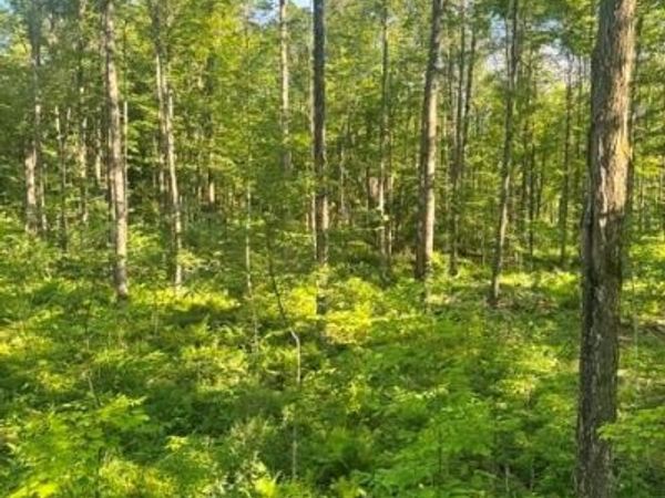 XXX East Grow Rd, Conrath, WI 54731