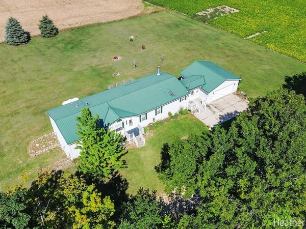 3349 N Pine Grove Road, Edmore, MI 48829