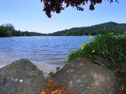 11065 Ringtail Rd, Penn Valley, CA 95946 Photo