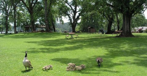11065 Ringtail Rd, Penn Valley, CA 95946 Photo
