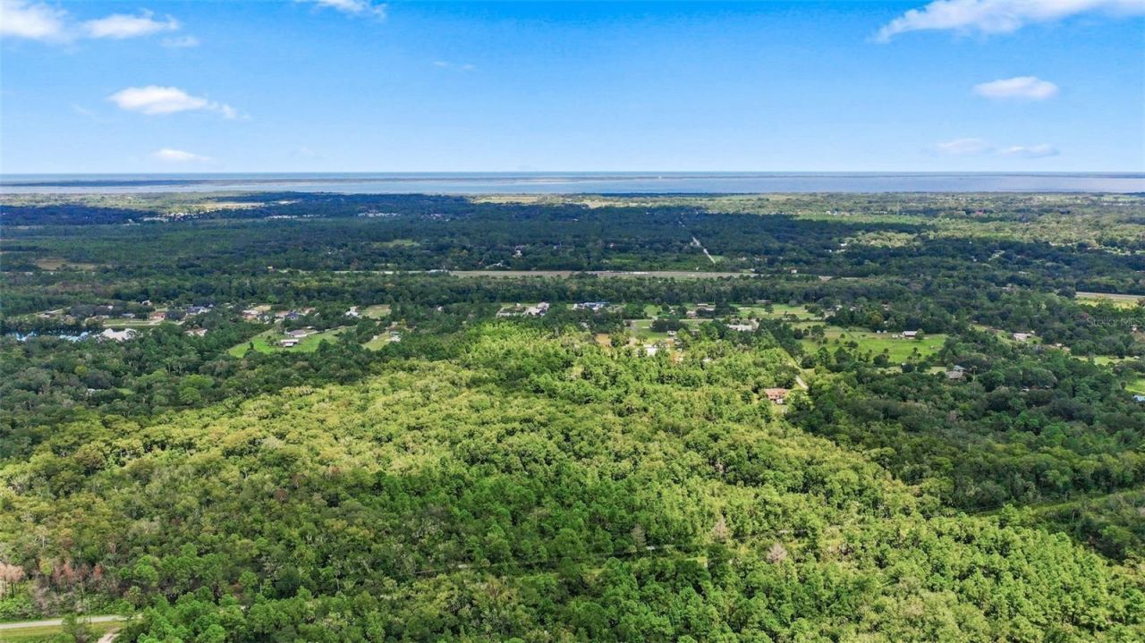 Unknown , Mims, FL 32754 Photo