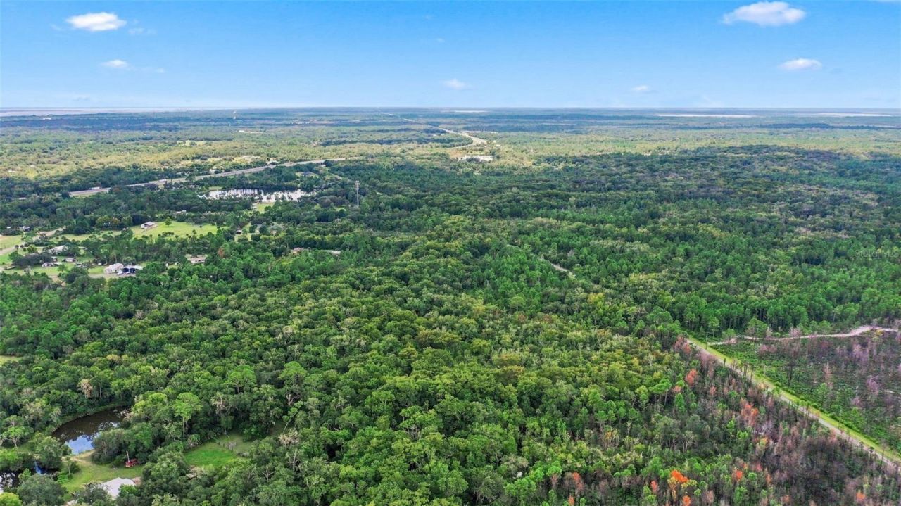 Unknown , Mims, FL 32754 Photo