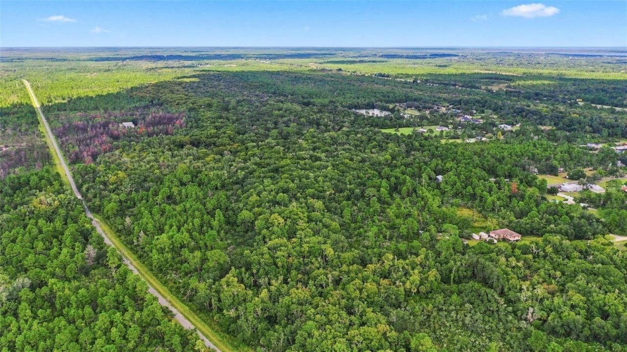 Unknown , Mims, FL 32754 Photo