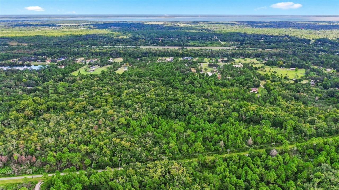 Unknown , Mims, FL 32754 Photo