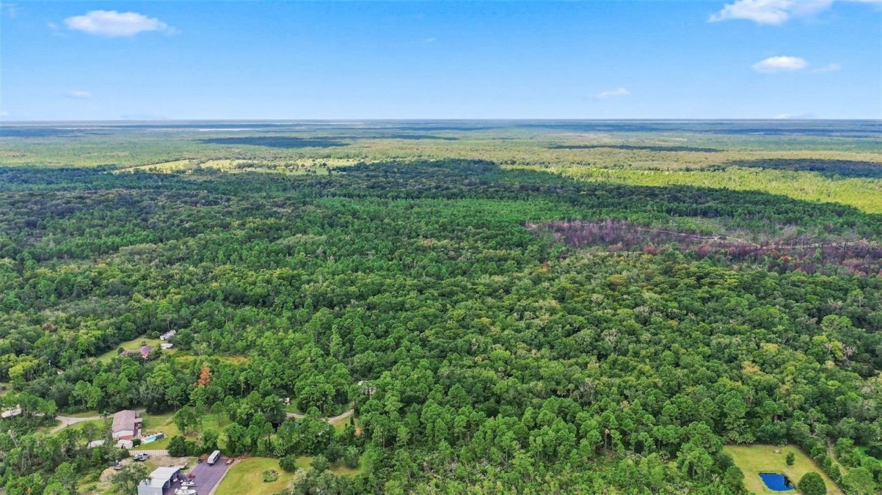 Unknown , Mims, FL 32754 Photo