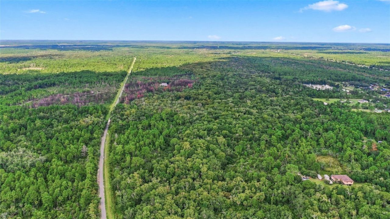 Unknown , Mims, FL 32754 Photo