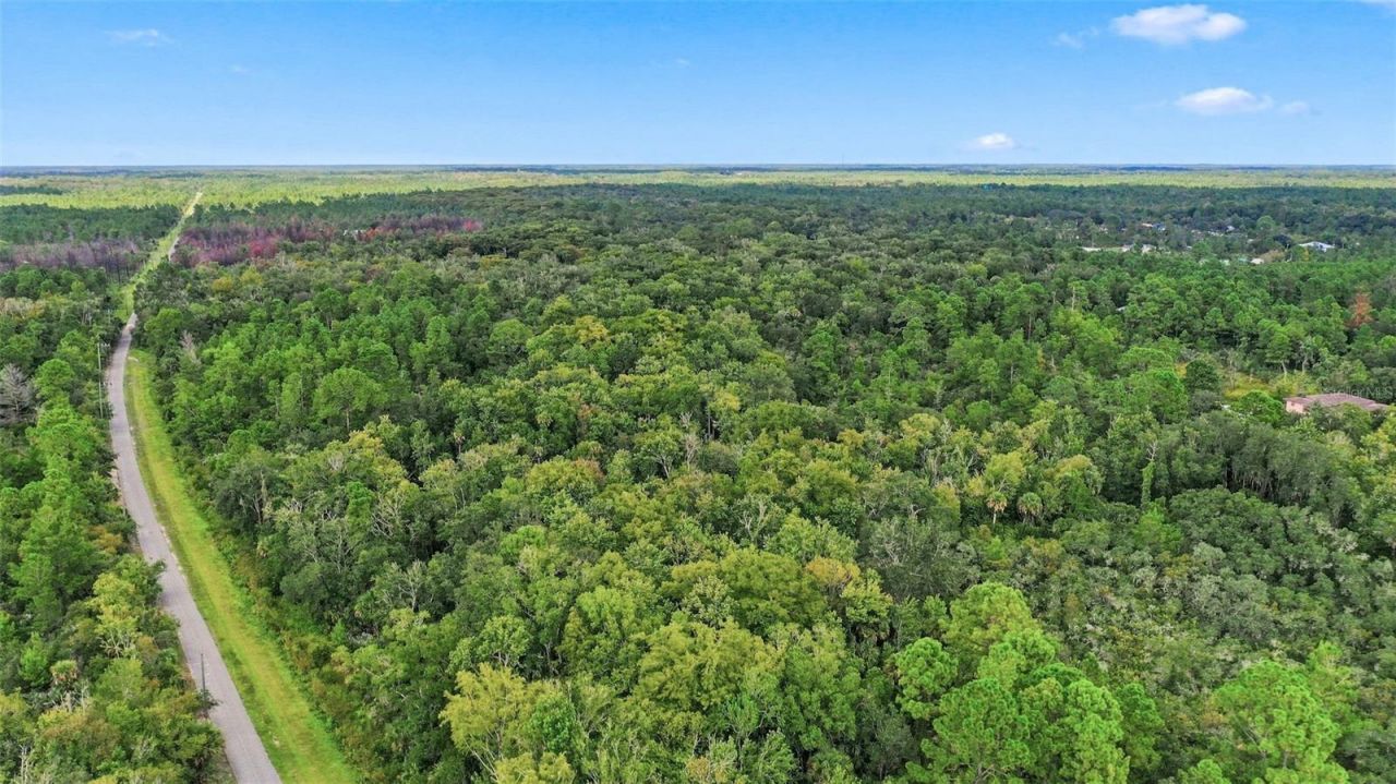 Unknown , Mims, FL 32754 Photo