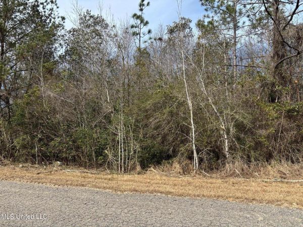 00 Crestwick St. Street, Saucier, MS 39574
