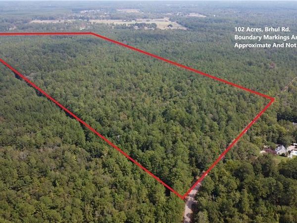 102 Acres BRUHL Road , Folsom, LA 70437