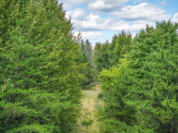 Tract B Highway 21 , Babbitt, MN 55706