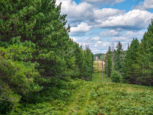 Tract C Hwy 21 , Babbitt, MN 55706