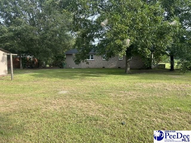 1002 Pitty Pat Drive Photo 17