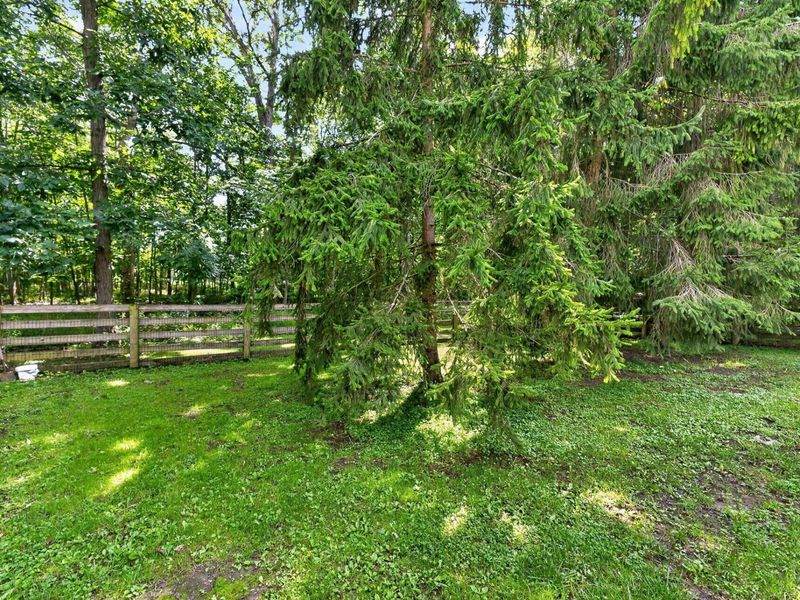 19508 County Road 190, Kenton, OH 43326 Photo 50