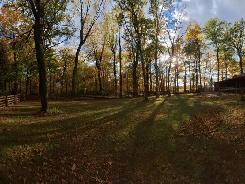 19508 County Road 190, Kenton, OH 43326 Photo 78