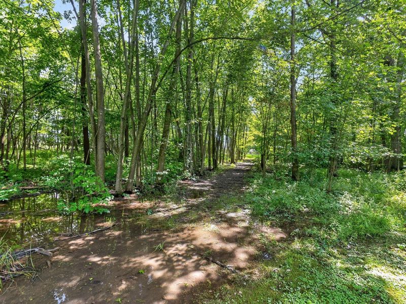 19508 County Road 190, Kenton, OH 43326 Photo 79