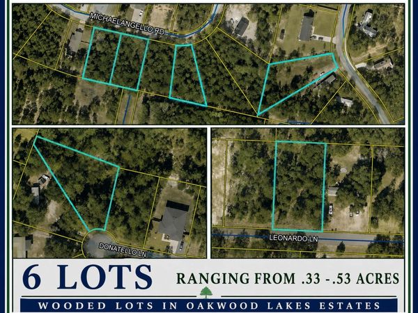 XX Leonardo Lane, DeFuniak Springs, FL 32433