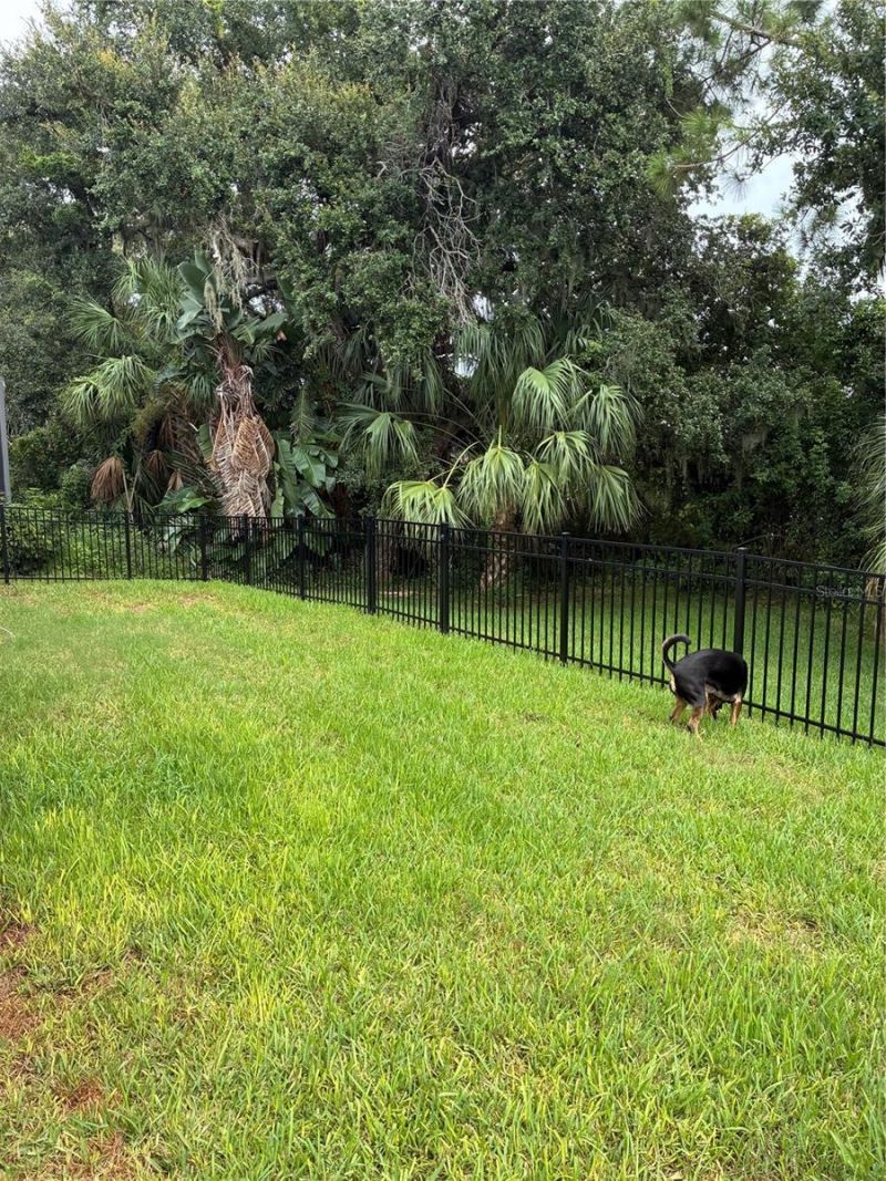 8872 Founders Circle, Palmetto, FL 34221 Photo