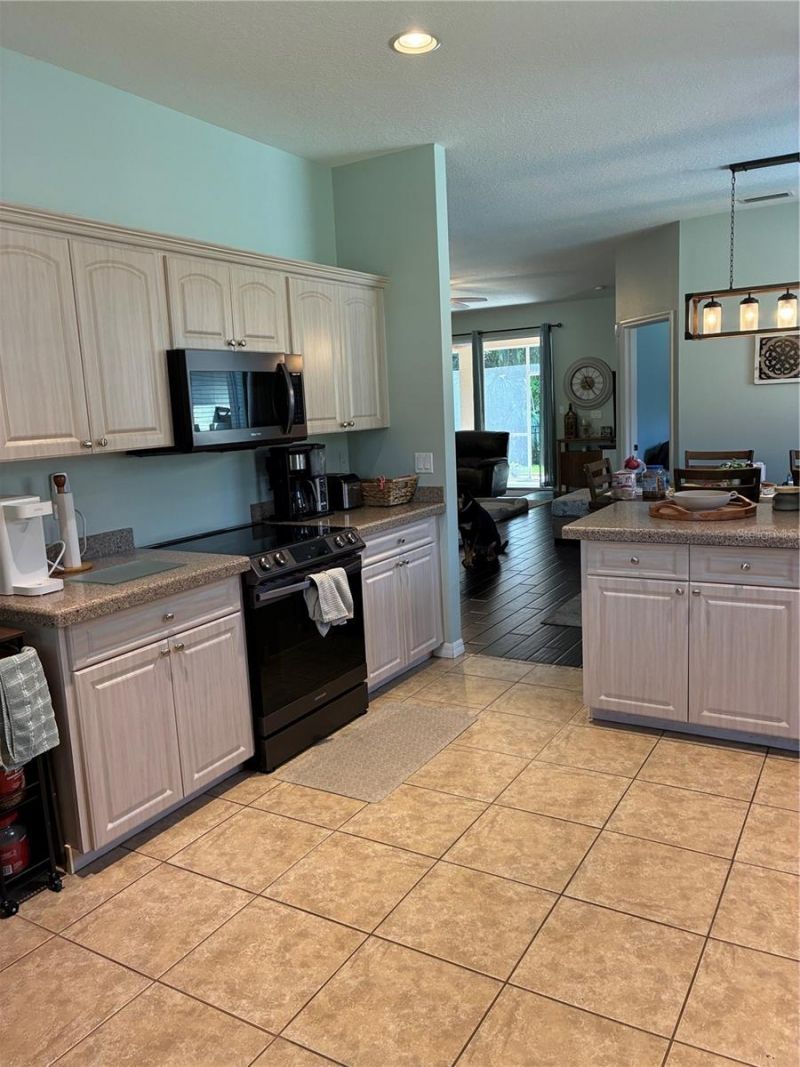 8872 Founders Circle, Palmetto, FL 34221 Photo