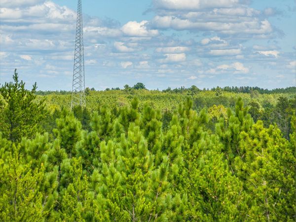 Tract D Highway 21 , Babbitt, MN 55706