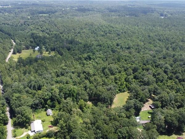 115 Acres WATTS THOMAS Road , Bush, LA 70431