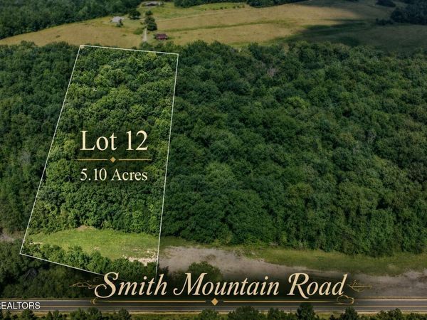 12 Smith Mountain Rd , Unit 12, Rockwood, TN 37854