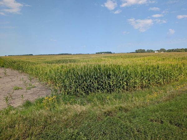 61203 150th St, Chokio, MN 56221