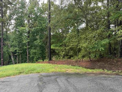 TBD N Wysteria Lane , Winnsboro, SC 29180