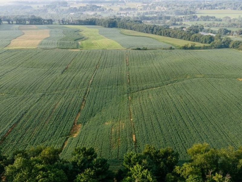 N Kohler Road, Orrville, OH 44667 Photo 7