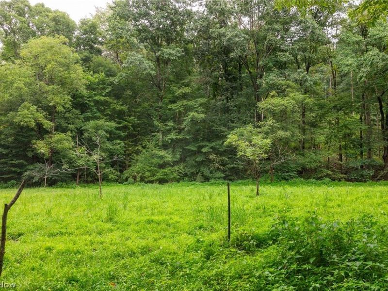 15931 Stocker Ridge Road, Newcomerstown, OH 43832 Photo 42