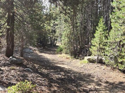 21031 Donner Pass Rd, Soda Springs, CA 95728 Photo