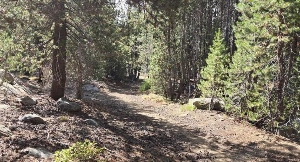 21031 Donner Pass Rd, Soda Springs, CA 95728 Photo
