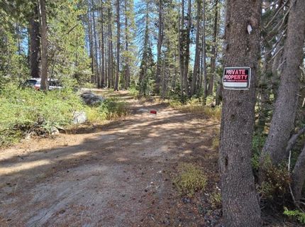 21031 Donner Pass Rd, Soda Springs, CA 95728 Photo