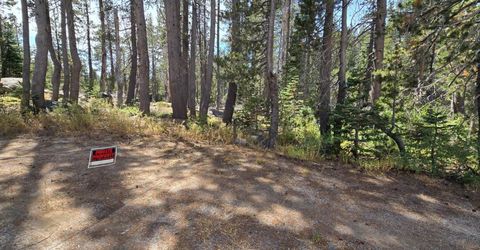 21031 Donner Pass Rd, Soda Springs, CA 95728 Photo