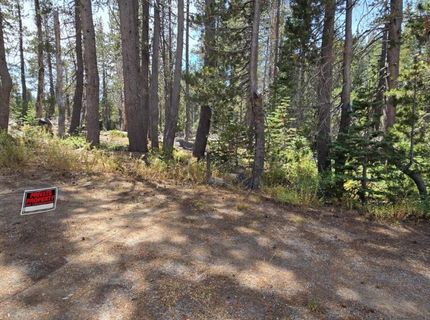 21031 Donner Pass Rd, Soda Springs, CA 95728 Photo