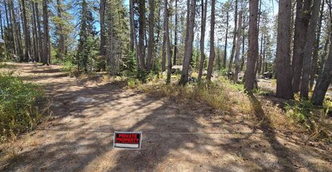 21031 Donner Pass Rd, Soda Springs, CA 95728 Photo
