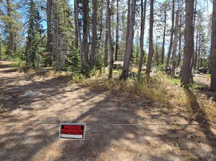 21031 Donner Pass Rd, Soda Springs, CA 95728 Photo