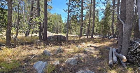21031 Donner Pass Rd, Soda Springs, CA 95728 Photo