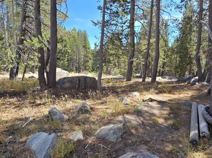 21031 Donner Pass Rd, Soda Springs, CA 95728 Photo
