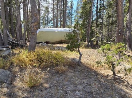 21031 Donner Pass Rd, Soda Springs, CA 95728 Photo
