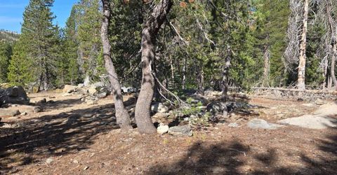 21031 Donner Pass Rd, Soda Springs, CA 95728 Photo