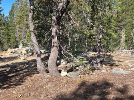 21031 Donner Pass Rd, Soda Springs, CA 95728 Photo